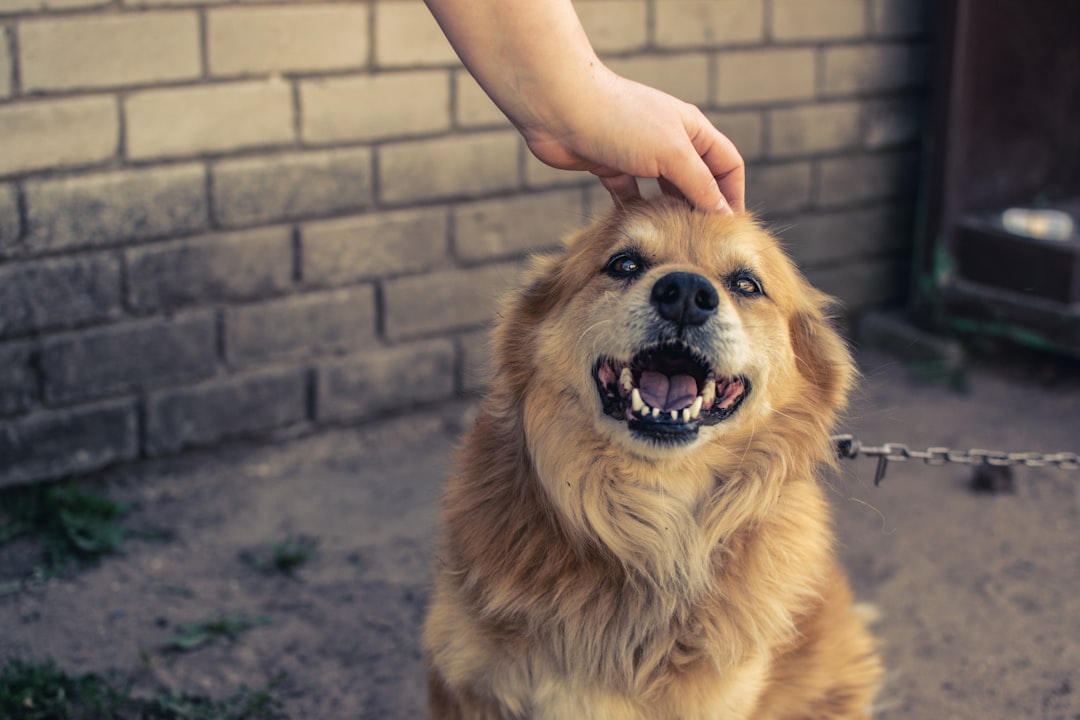 Customer Loyalty for Pet Businesses